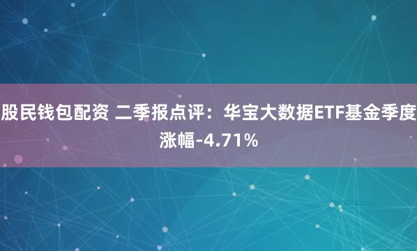 股民钱包配资 二季报点评:华宝大数据ETF基金季度涨幅-4.71%