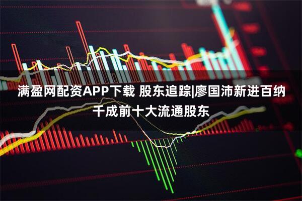 满盈网配资APP下载 股东追踪|廖国沛新进百纳千成前十大流通股东